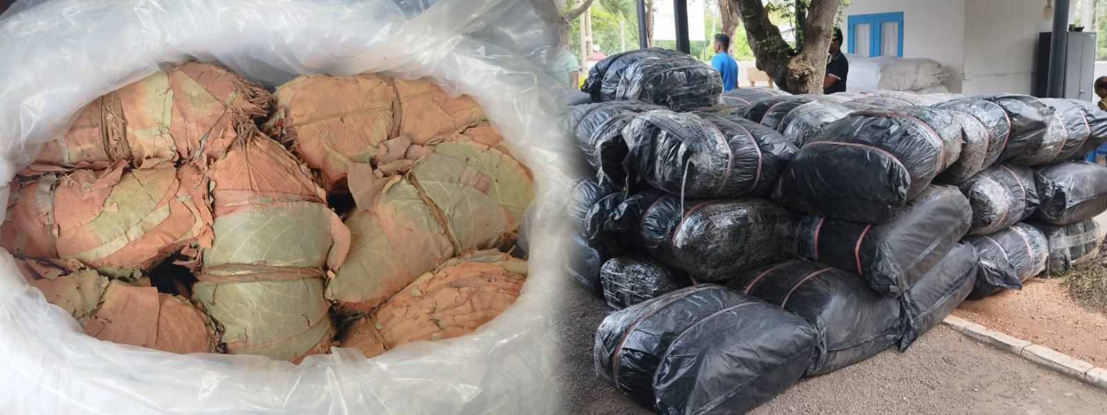 බීඩි කොළ තොගයක් සමඟ සැකකරුවෙකු අත්අඩංගුවට..